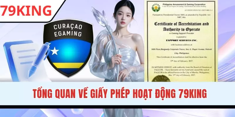 Giới thiệu chung về giấy phép hoạt động 79KING